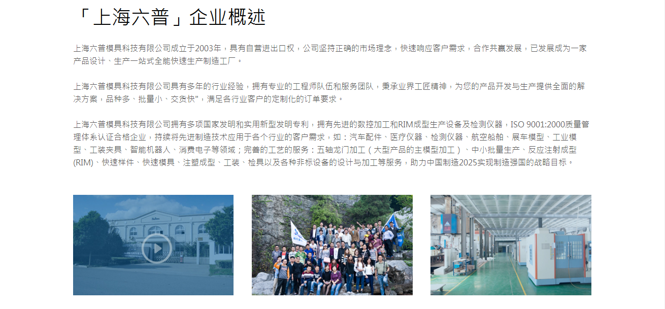 企业概述