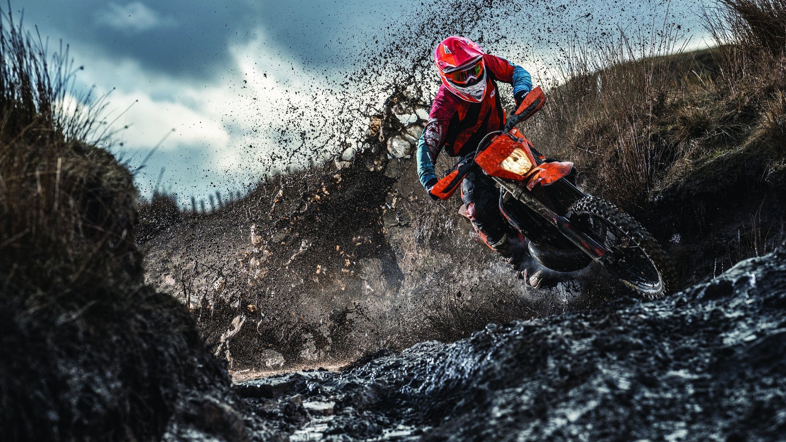 乐鱼体育登录-_场馆内外：明星嘉宾助阵现场氛围火热_，明星现场活动