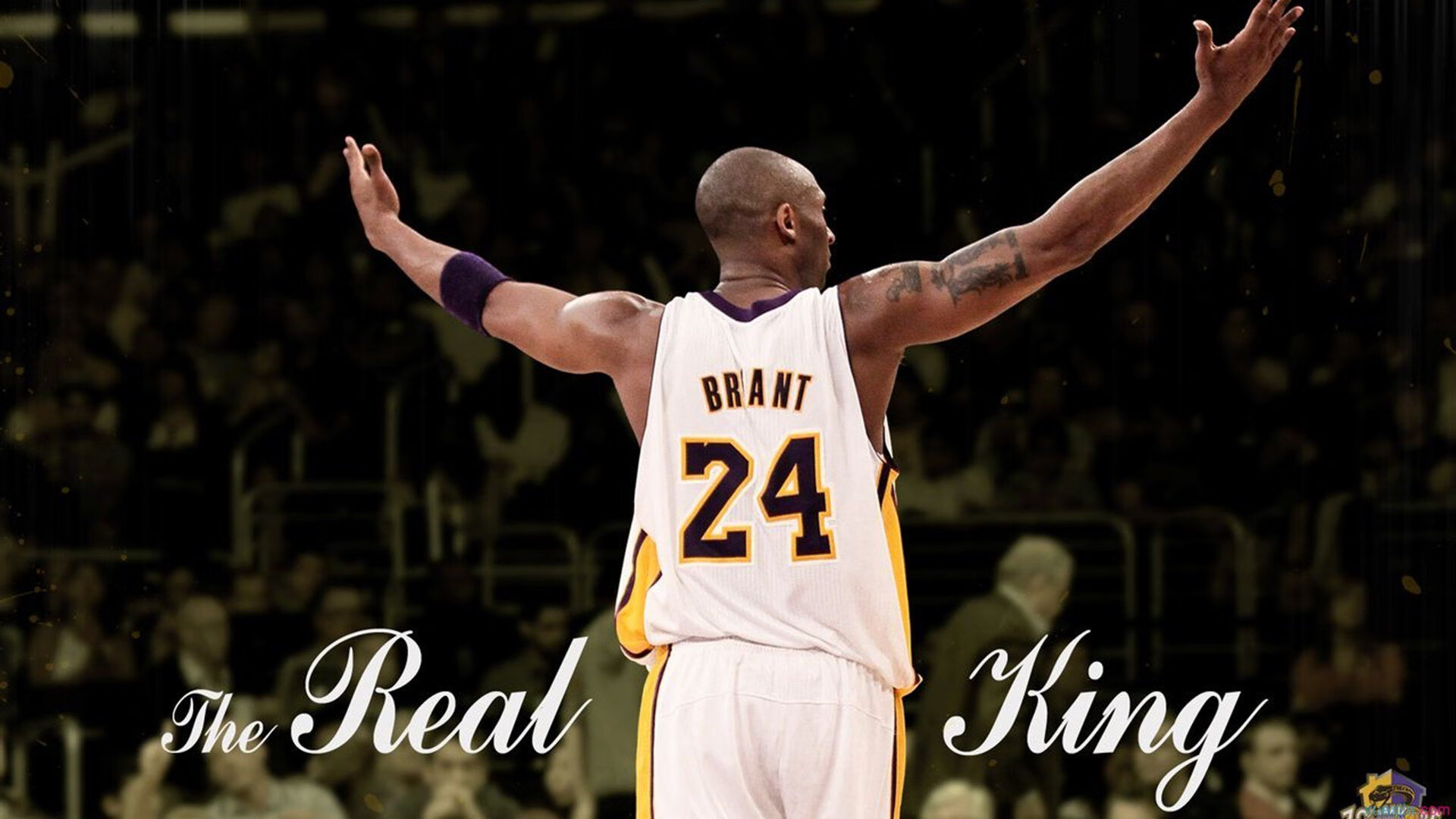 乐鱼足球官网-新星崛起：年轻车手的迅速崭露头角，形容新星崛起的口号